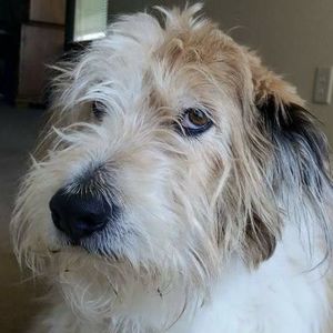 Meet your Posher, Teresa keener